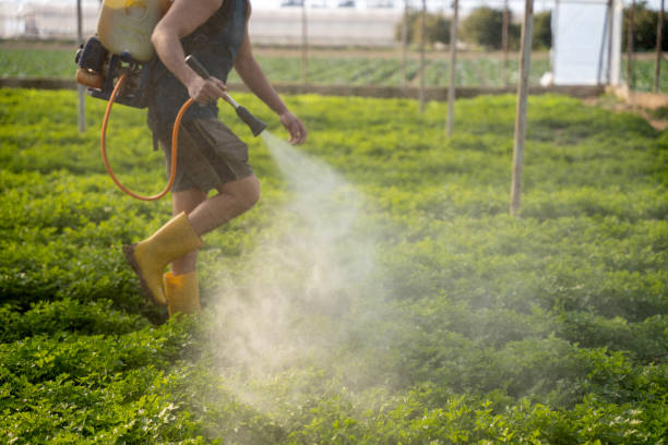 Best Pest Removal Services  in New Union, TN
