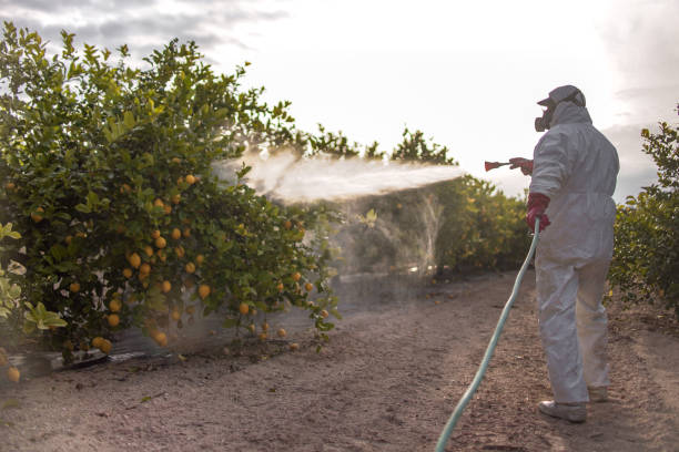 Best Wasp Removal Services  in New Union, TN