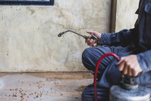 Best Mosquito Control Services  in New Union, TN